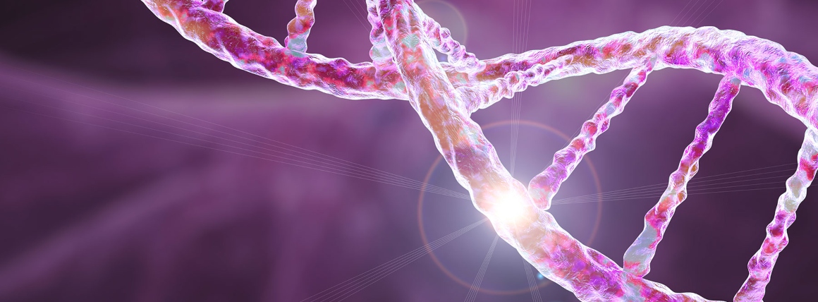 Plasmid DNA Vaccine Shows Promise in Patients with Advanced-Stage ERBB2+ Breast Cancer